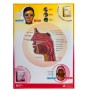 Vacuum Formed PVC Poster