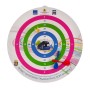 Magnetic Dartboard cat.№288